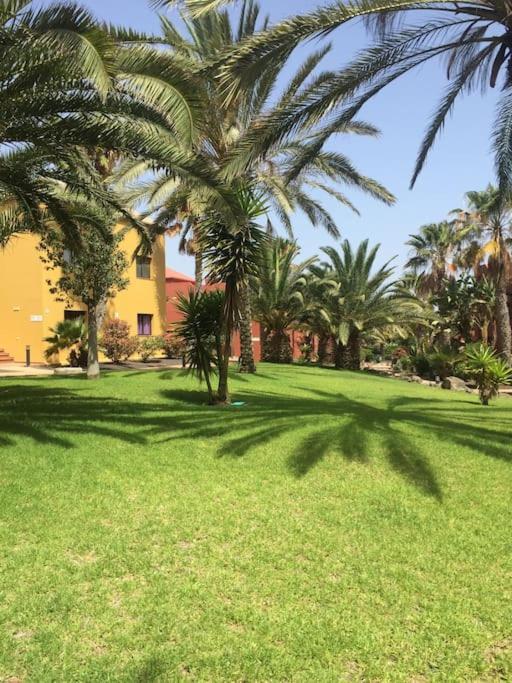 Corralejo Happy Place, Precioso Apartamento Con Piscina Kültér fotó